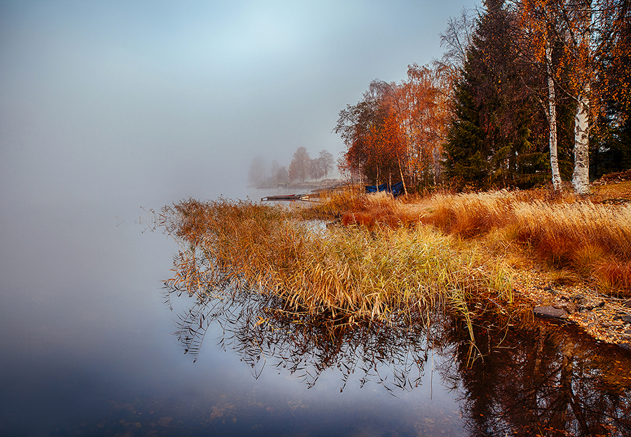 Autumn trees reflected in still water