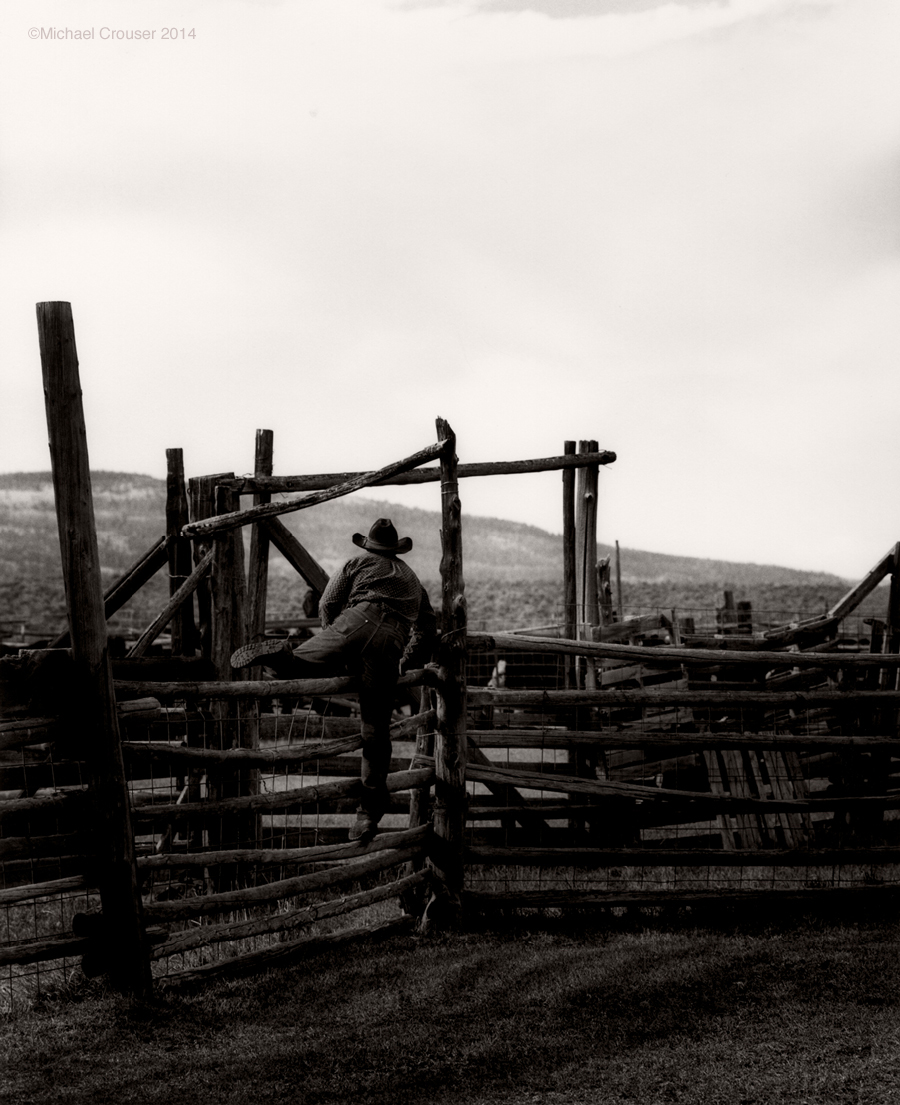 Person among wooden cattle corrals