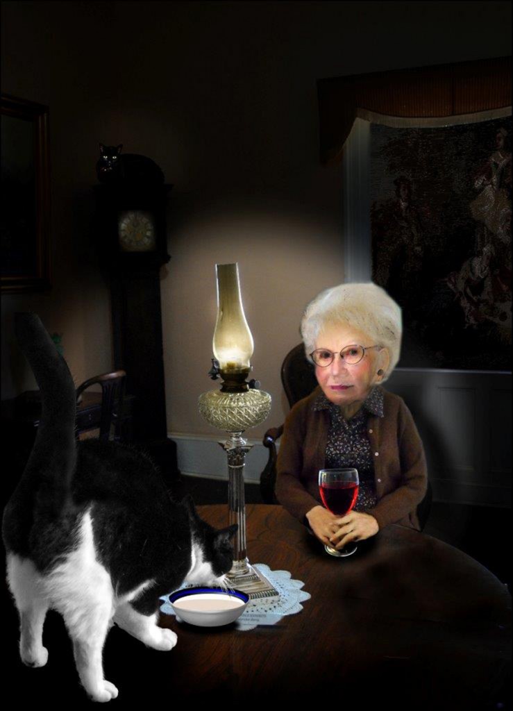 Granny figure seated in a dark room beside a cat