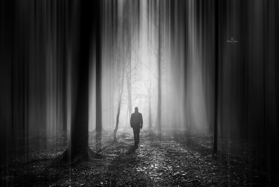 Figure among trees in a misty forest