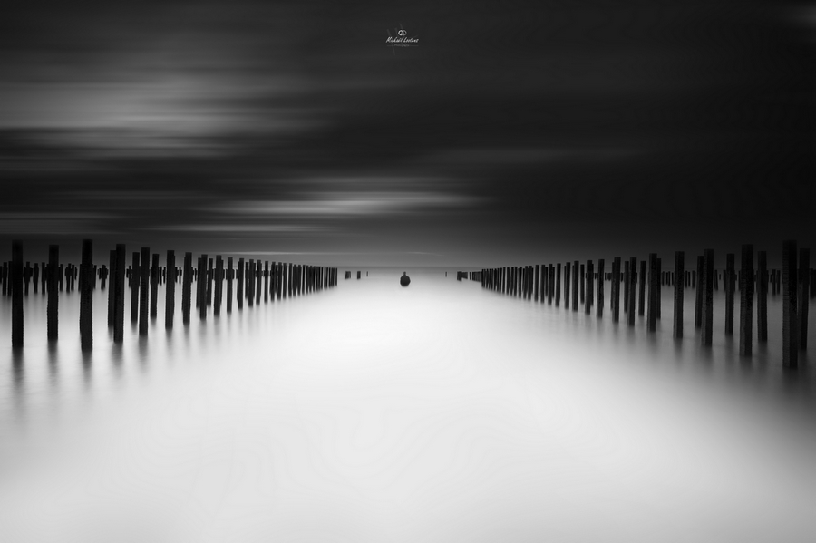 Pier posts reflected in still water
