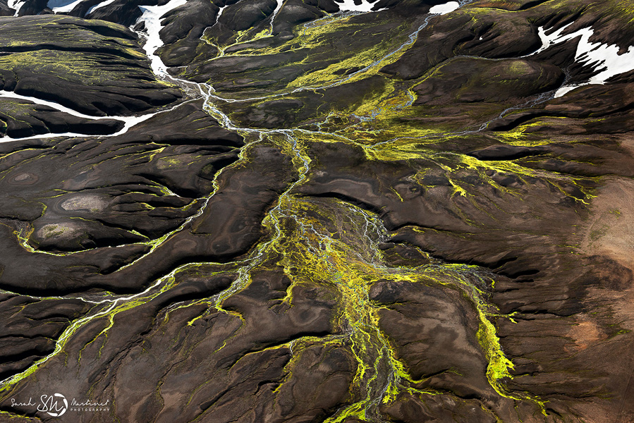 Braided waterways across moss-covered ground