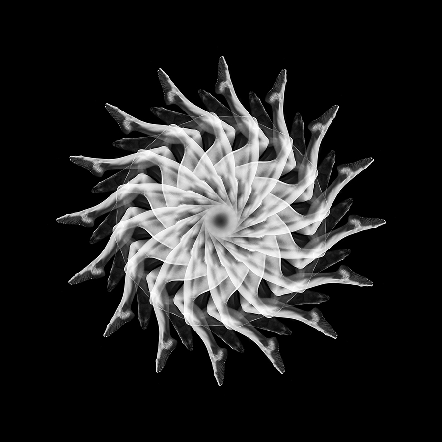 Circular black-and-white mandala made of body silhouettes