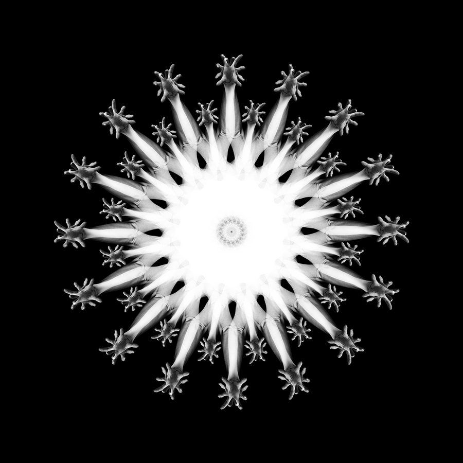 Snowflake-like radial body mandala