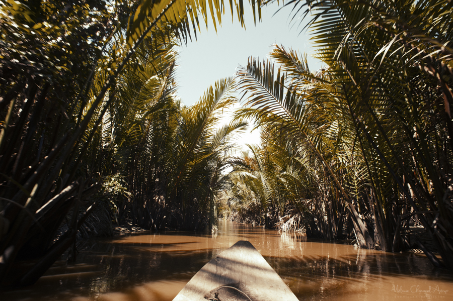 Waterway bordered by palm trees