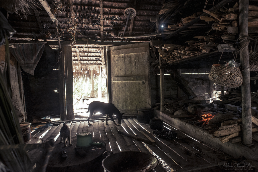 Interior of a wooden dwelling