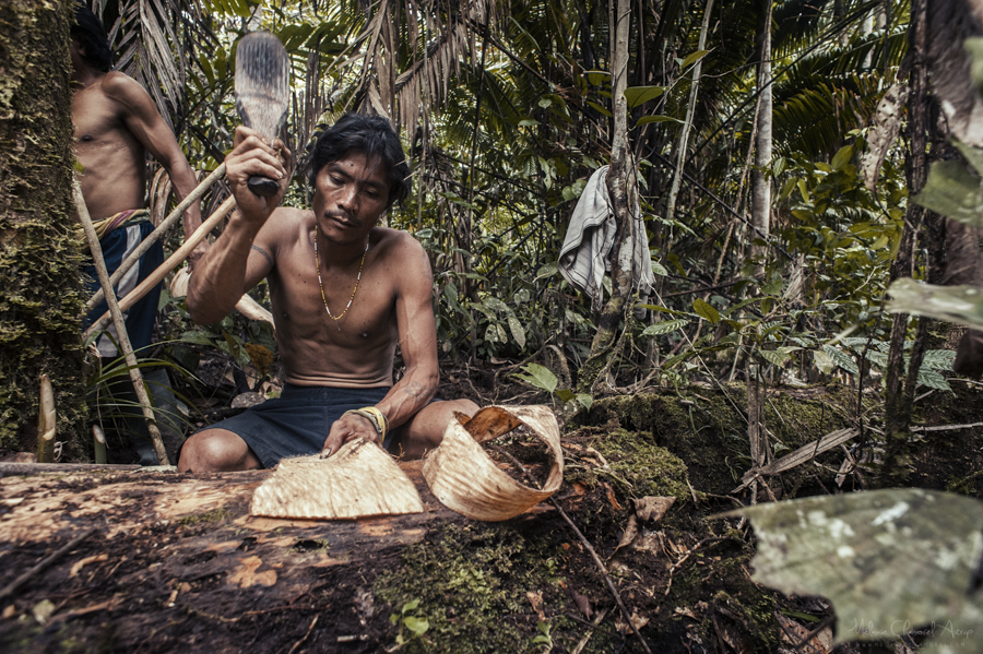 Person working beside split wood in a forest
