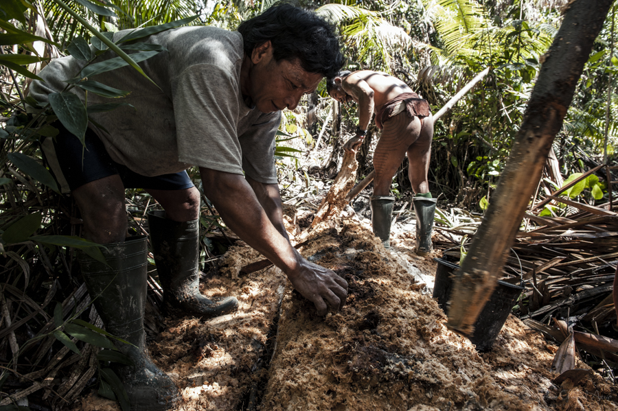 Person working with wood in a forest