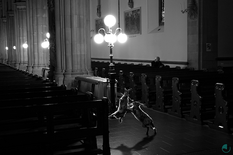 Hare in a dark interior beside ornate lamps