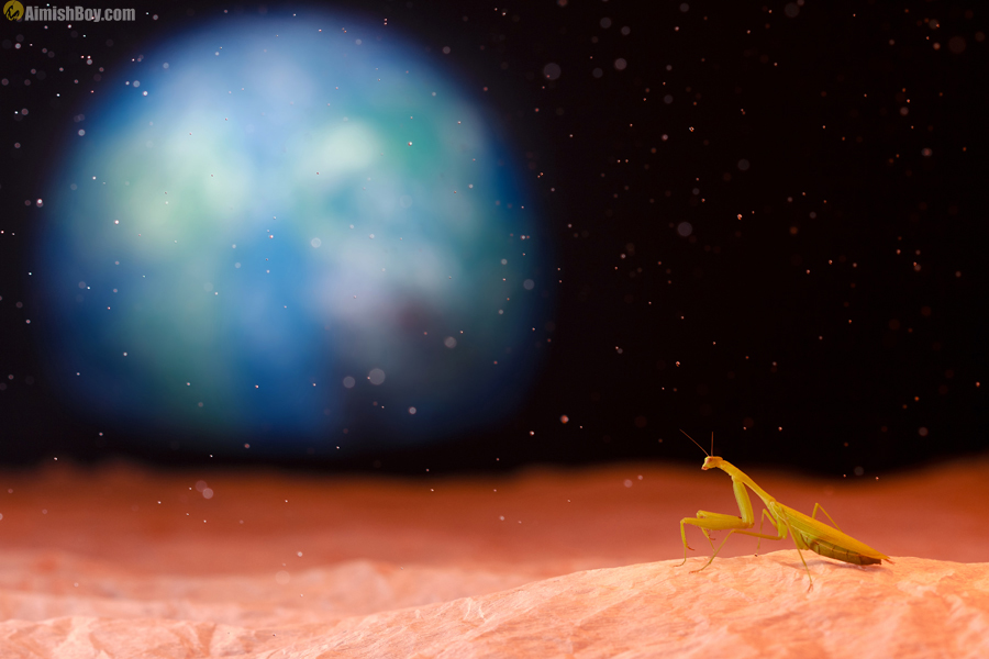 Tiny mantis in a staged space scene