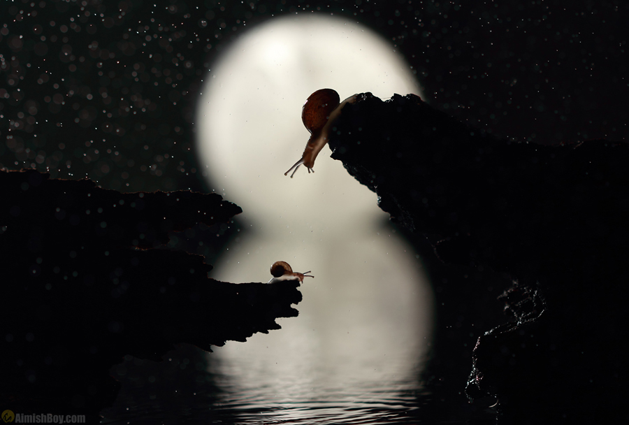 Silhouetted small creatures against round moonlight