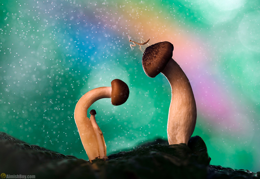 Miniature mushrooms in a colorful staged scene