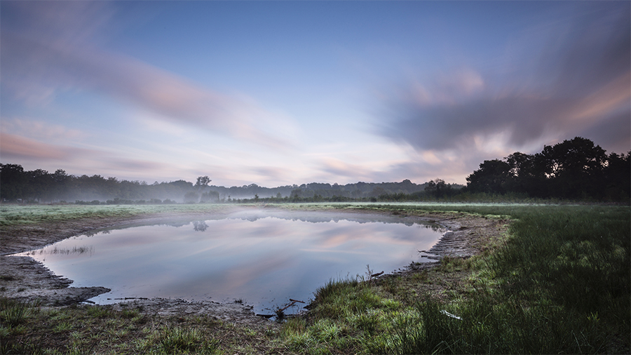 Quiet pond beneath a clouded sky