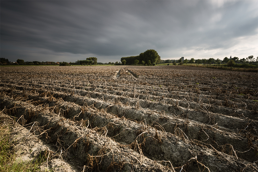 Plowed farmland beneath dark clouds