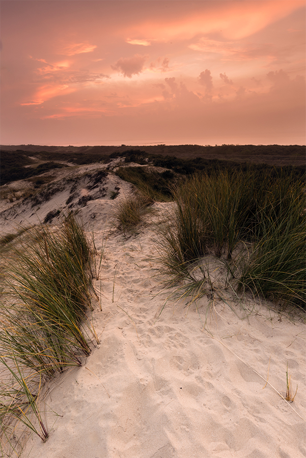 Dune path under a pink sky