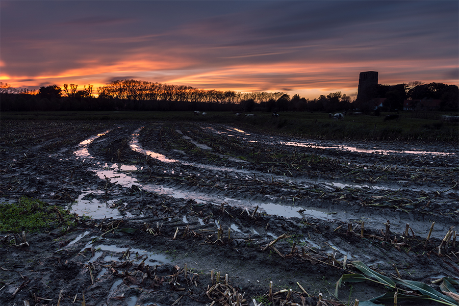Wet fields under a sunset sky