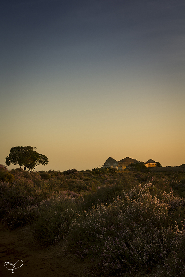 Warm evening sky above a Portuguese landscape