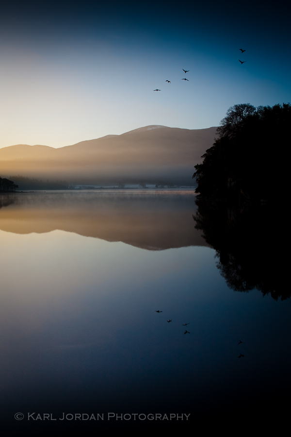 Birds flying over Lough Leane at sunrise with mirror reflection, Killarney National Park Ireland