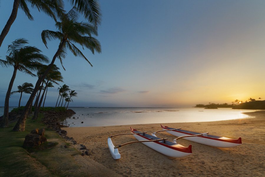 Boats on a beach under palm trees
