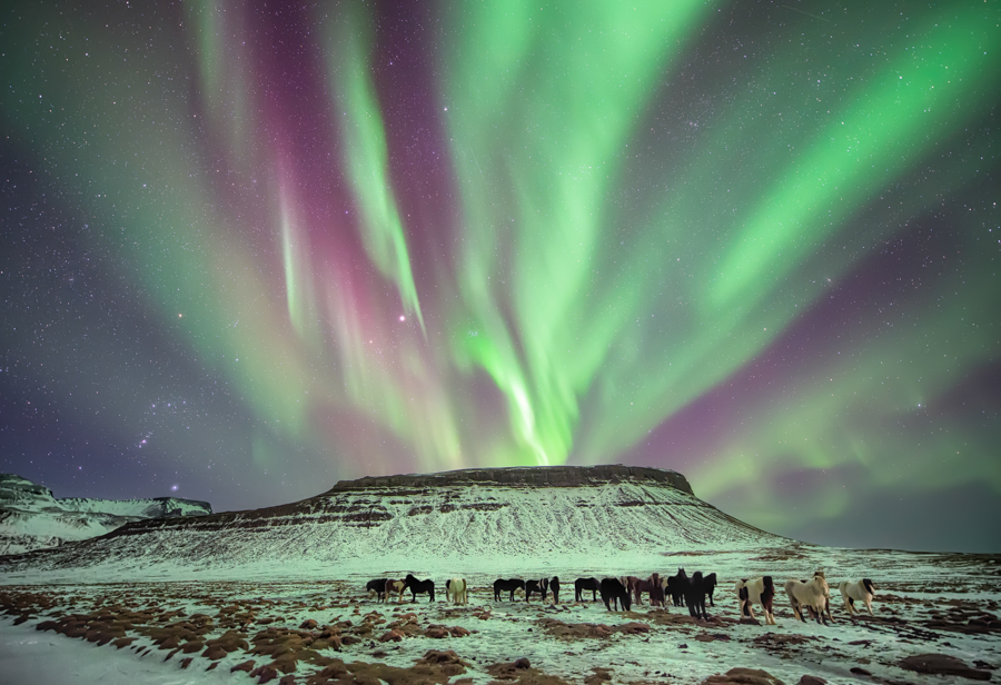Green aurora above snowy landscape