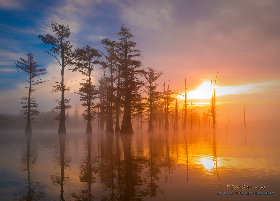 Sun rising behind cypress trees