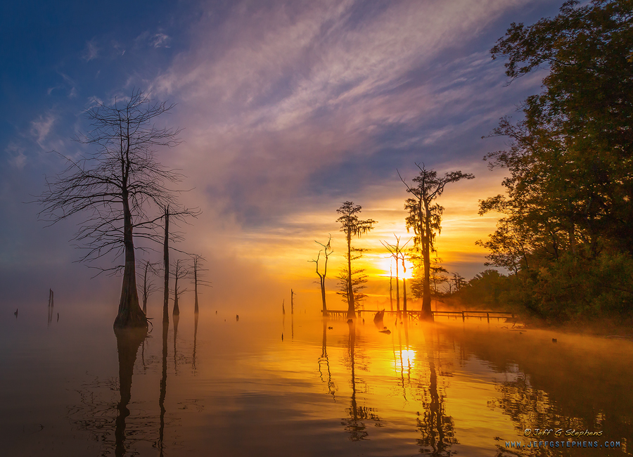 Golden sunrise over cypress trees and water