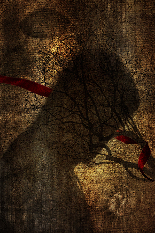 Darkened_Introspection#8_Andrew_Paranavitana Shadowy figure partly hidden by red ribbons