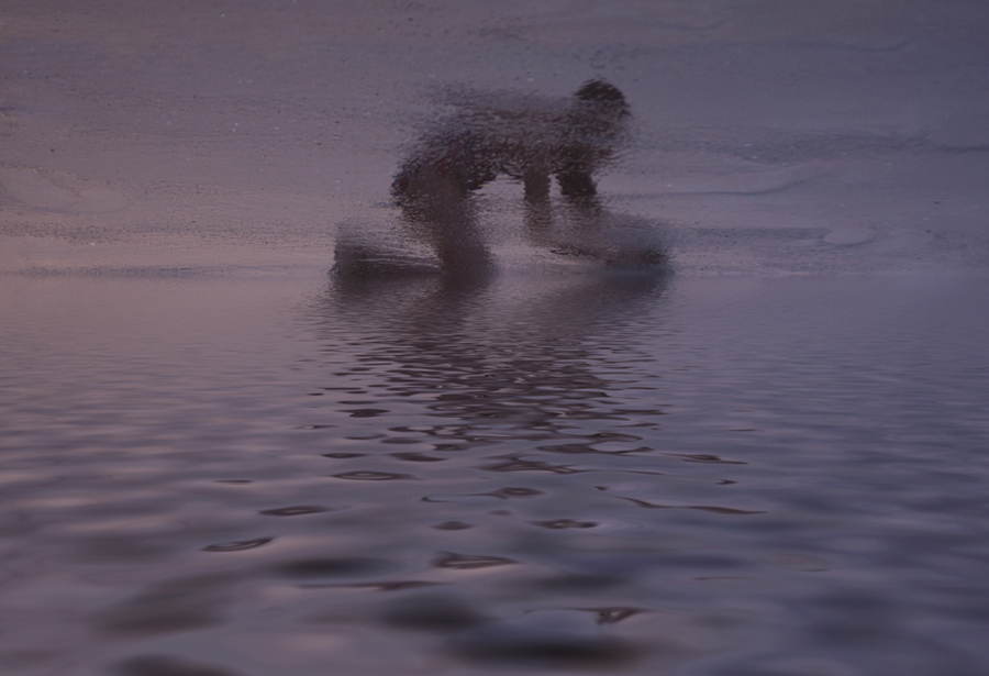 Blurred figure crouching at water’s edge