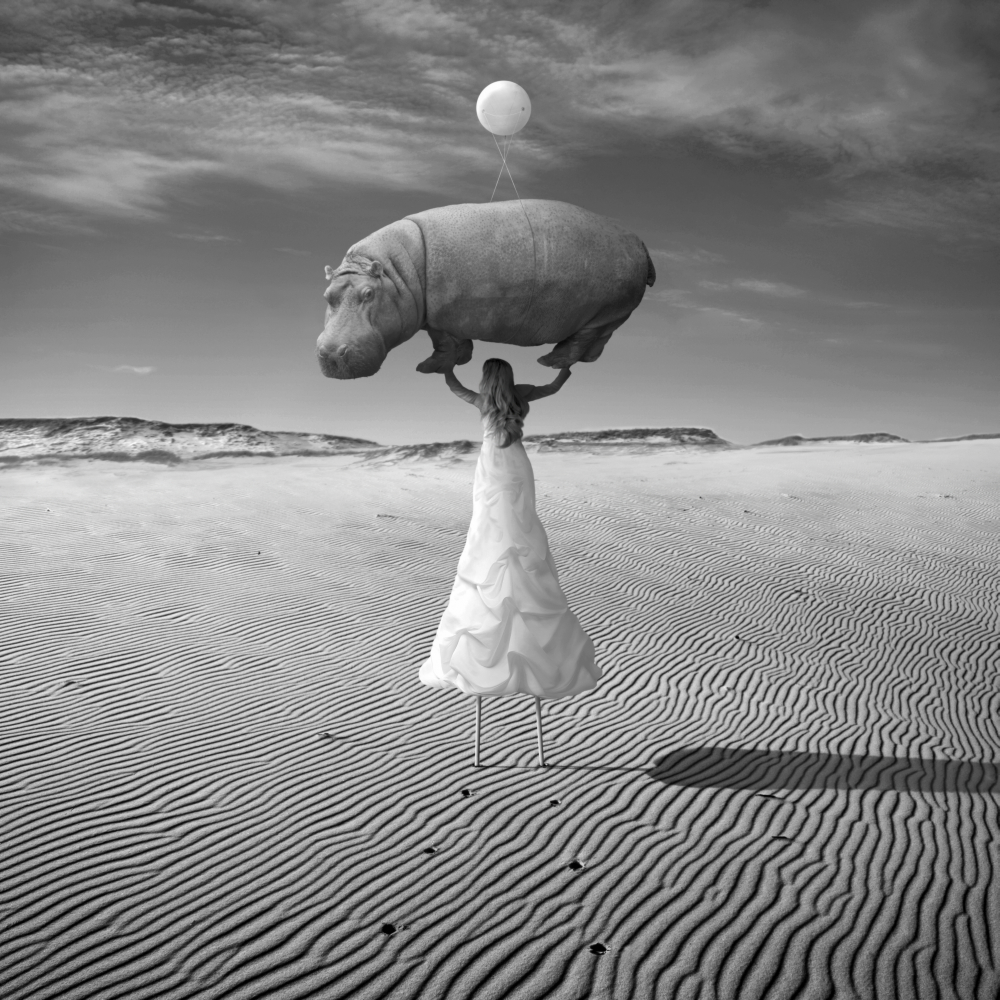 White figure beneath a mushroom-shaped tree