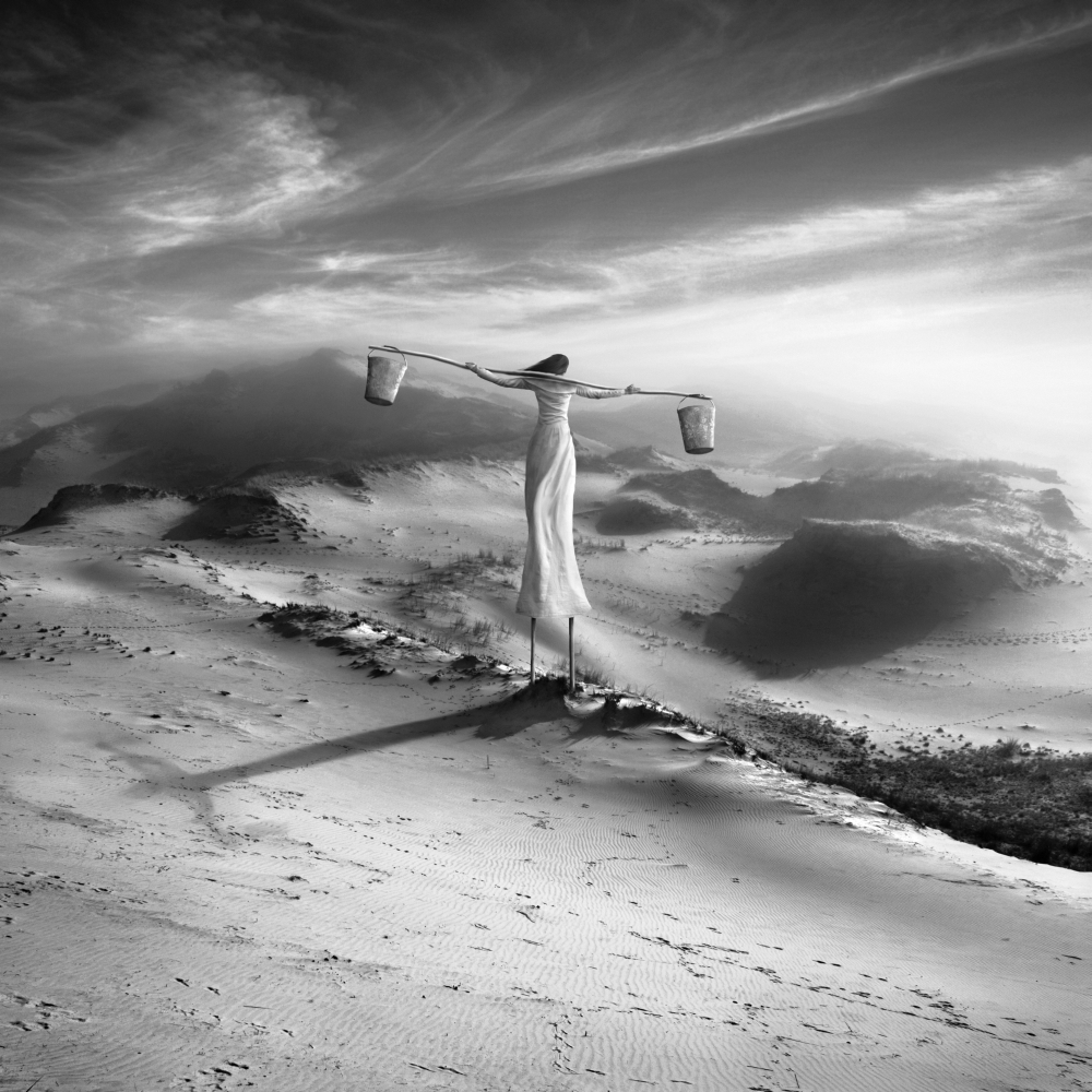 Dark stilt walker above a rocky desert