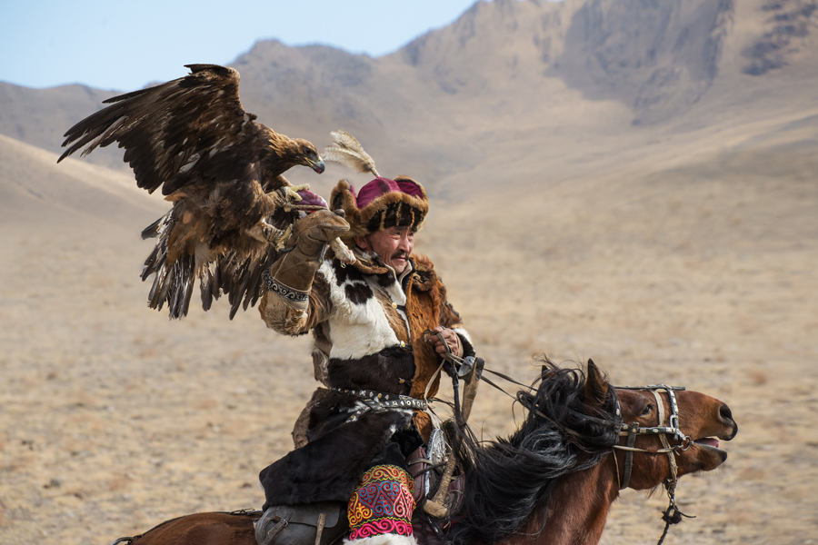 Eagle perched with a rider on horseback