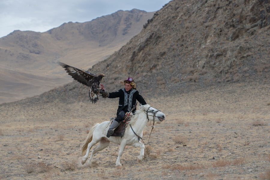 Eagle flying close to a rider
