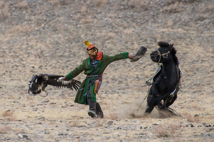 Handlers and trained eagles on rocky ground