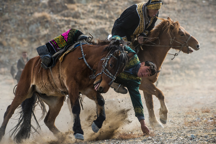 Rider leaning from a horse in motion