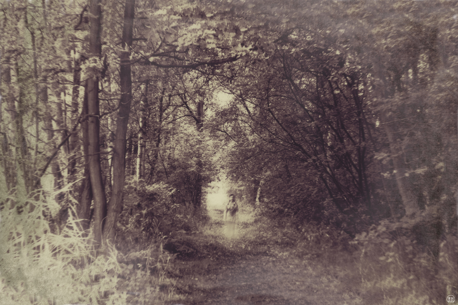 Shadowy figure on a wooded path