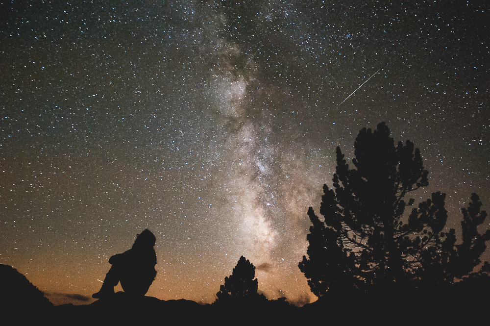 Seated silhouette beneath the Milky Way beside dark tree shapes