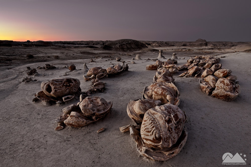 Rounded eroded rock formations scattered across a flat desert foreground beneath a subdued twilight sky