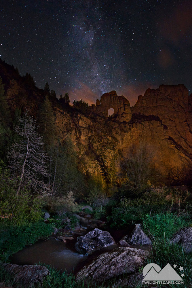 Trees and rock-lined water beneath a starry night sky in a narrow vertical landscape