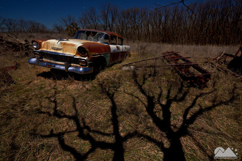 Weathered automobile beside bare trees casting strong branching shadows across the ground