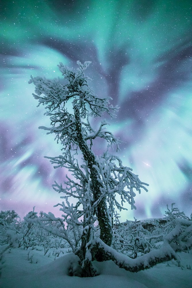 'Phoenix Nest' - northern lights photograph by Nicolas Raspiengeas