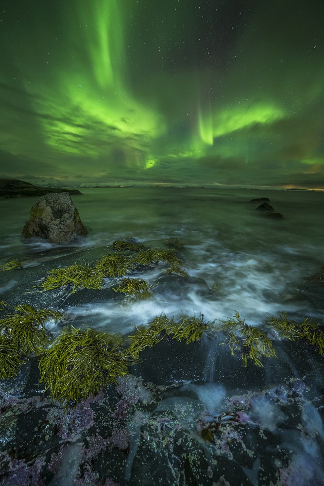 'We From Space' - northern lights photograph by Nicolas Raspiengeas