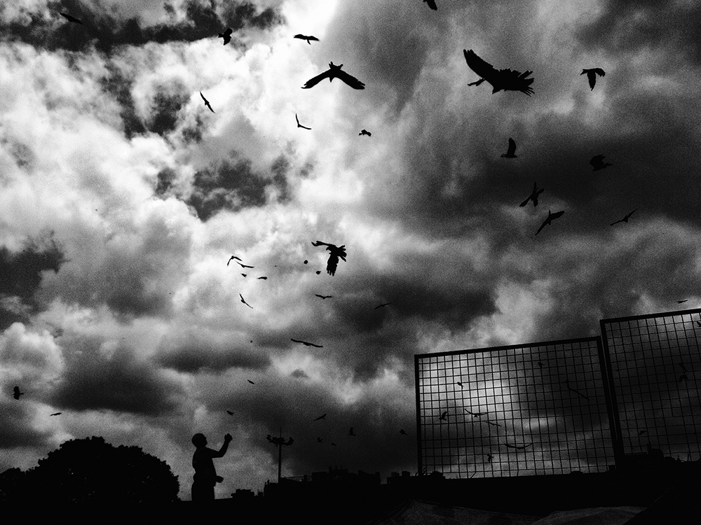 Birds against dramatic clouds over a Delhi street - Life by Devashish Gaur