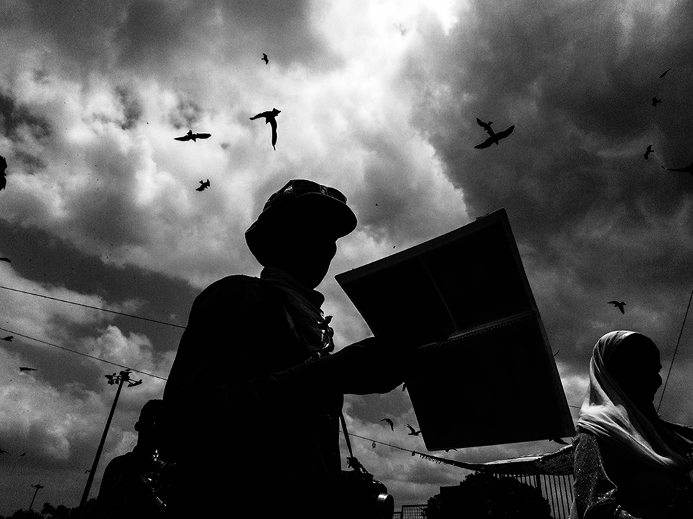 Silhouette of a man reading a newspaper under a sky of birds, Delhi - Life by Devashish Gaur