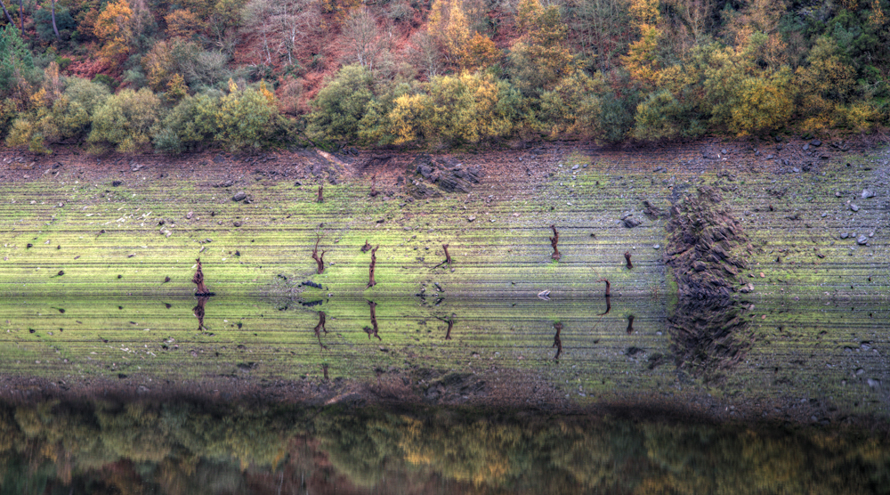 Autumn trees and a mirror-like reflection on calm water, Galicia nature photography