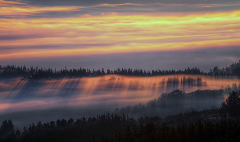 Golden sunrise light over layered mist and dark forest, Galicia landscape photography by Luis Vilanova