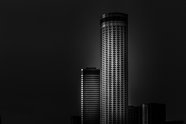 Cylindrical tower and slab block, black and white - Contemporary Architecture in Singapore by Ravi Jambunathan