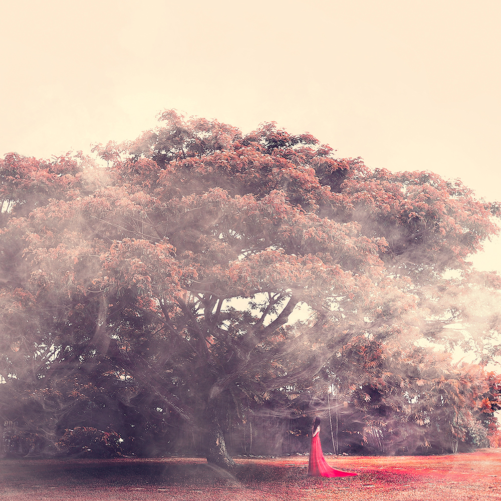 Red-toned park scene with a large tree - surreal photo by Cathryn Mok
