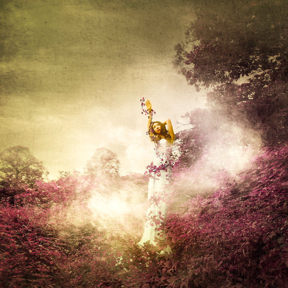 Figure on a floral mound in golden light - surreal photo by Cathryn Mok