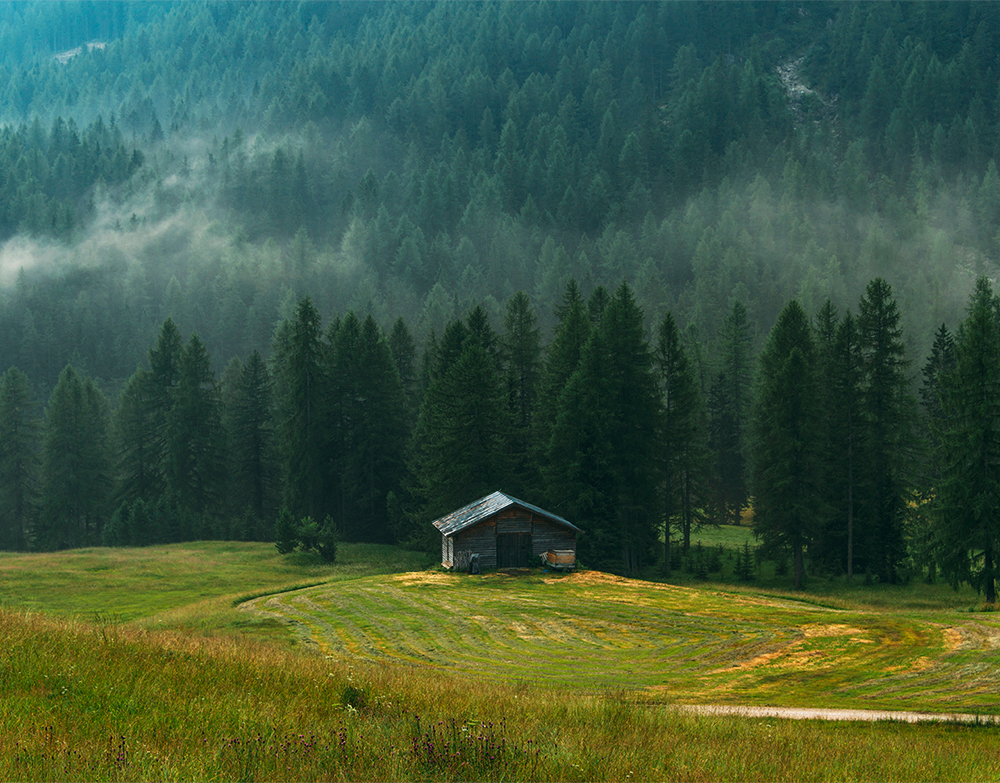 A lonely cottage in the misty forest after a storm, Corvara, Dolomites - Ales Krivec