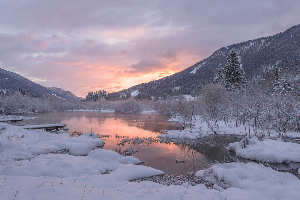Zelenci springs at a winter sunset, Slovenia - landscape by Ales Krivec